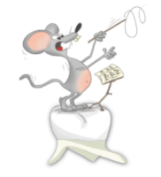 Liiga lühike hambapesu