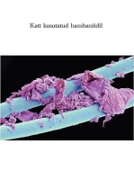 Poster: Katt kasutatud hambaniidil