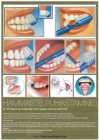  Hammaste puhastamine