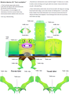 Meisterdamine: Kuri suubakter