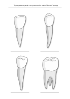 Tööleht: Erinevad hambatüübid