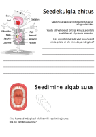 Tööleht: Seedimine Tööleht: Seedimine