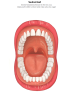  Suulooma joonistamine