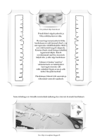 Meisterdamine: Hambakaar