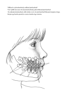Tööleht: Hambad minu suus