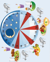  Toidukorrad ja hambad