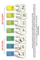 Poster: Happerünnak uus